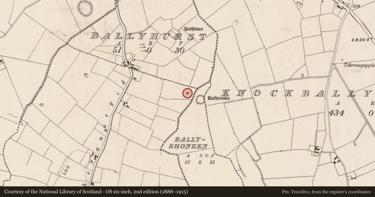 Ordnance Survey six-inch map, 2nd edition (1888–1915) covering the location of Enclosure, Ballynaclogh, County Limerick, with a pin at the register's coordinates