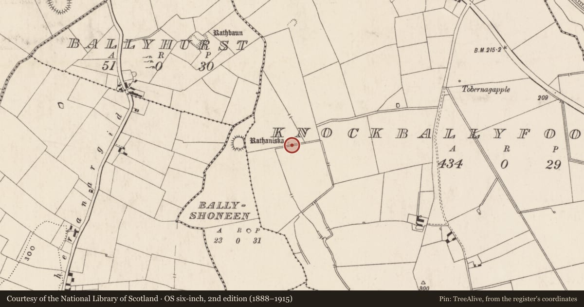 Ordnance Survey six-inch map, 2nd edition (1888–1915) covering the location of Barrow - unclassified, Knockballyfookeen, County Limerick, with a pin at the register's coordinates