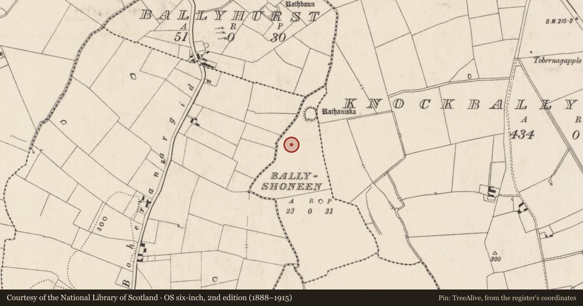 Ordnance Survey six-inch map, 2nd edition (1888–1915) covering the location of Barrow - ditch barrow, Ballyshoneen, County Limerick, with a pin at the register's coordinates