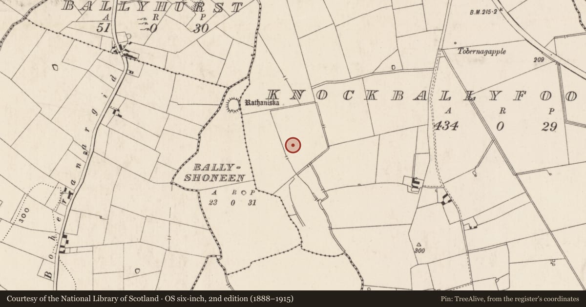 Ordnance Survey six-inch map, 2nd edition (1888–1915) covering the location of Barrow - ring-barrow, Knockballyfookeen, County Limerick, with a pin at the register's coordinates