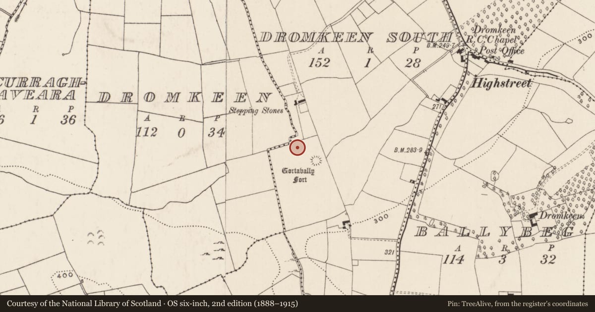 Ordnance Survey six-inch map, 2nd edition (1888–1915) covering the location of Enclosure, Dromkeen South, County Limerick, with a pin at the register's coordinates