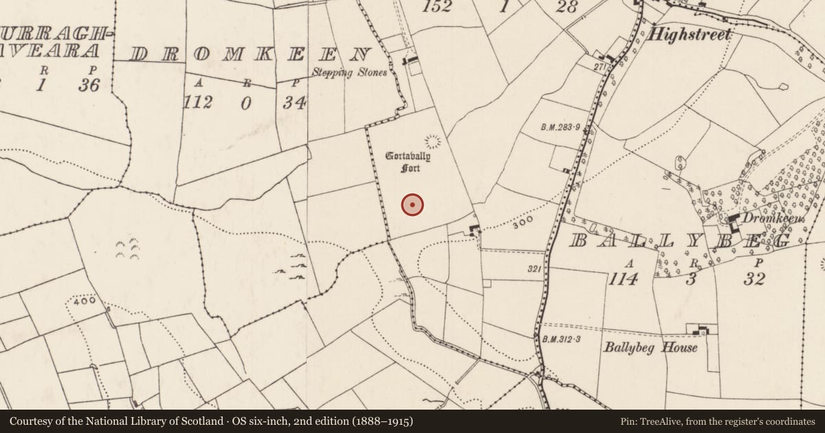 Ordnance Survey six-inch map, 2nd edition (1888–1915) covering the location of Barrow - ditch barrow, Dromkeen South, County Limerick, with a pin at the register's coordinates