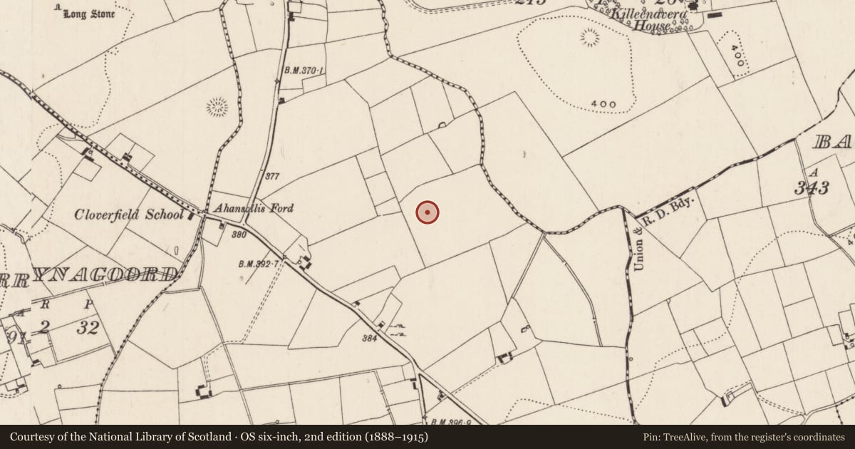 Ordnance Survey six-inch map, 2nd edition (1888–1915) covering the location of Barrow - unclassified, Boherroe, County Limerick, with a pin at the register's coordinates