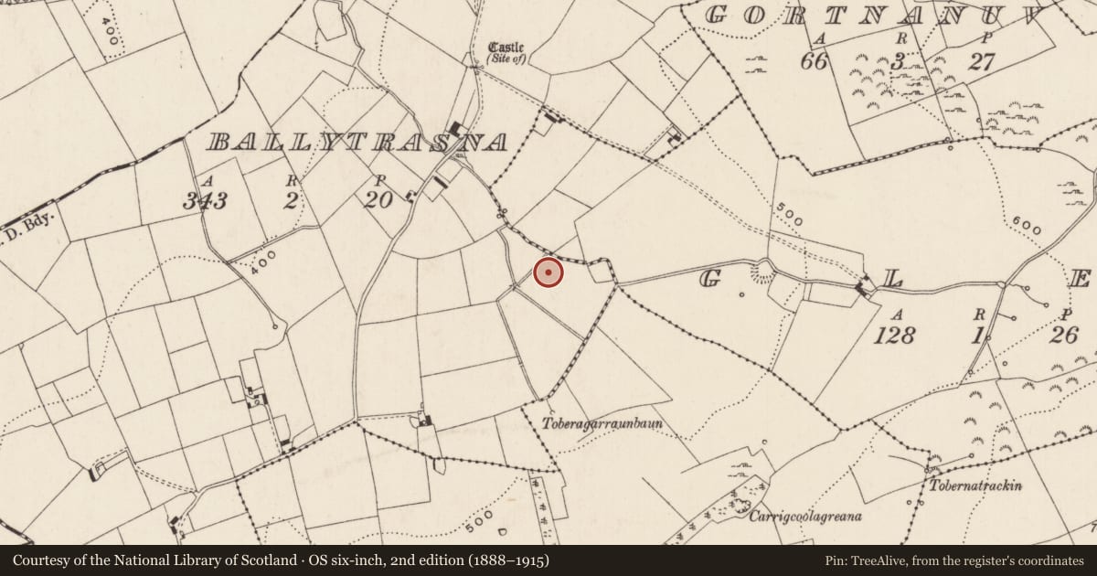 Ordnance Survey six-inch map, 2nd edition (1888–1915) covering the location of Barrow - unclassified, Ballytrasna, County Limerick, with a pin at the register's coordinates