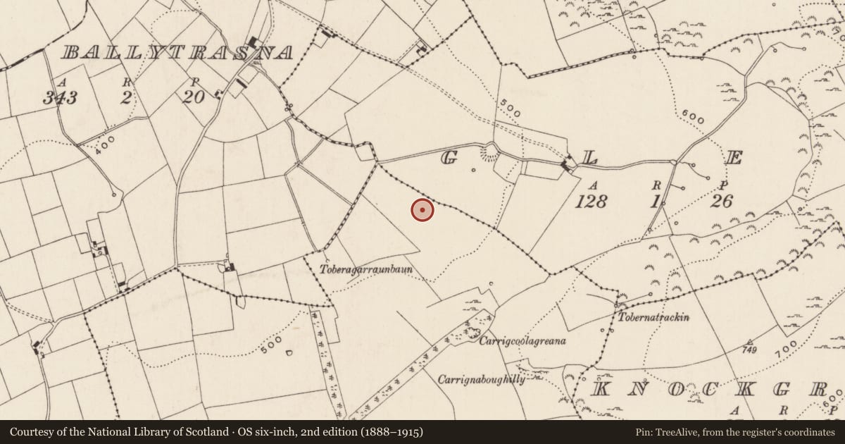 Ordnance Survey six-inch map, 2nd edition (1888–1915) covering the location of Barrow - unclassified, Knocknacrohy, County Limerick, with a pin at the register's coordinates