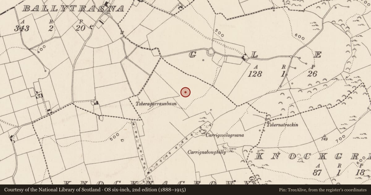 Ordnance Survey six-inch map, 2nd edition (1888–1915) covering the location of Barrow - ring-barrow, Knocknacrohy, County Limerick, with a pin at the register's coordinates