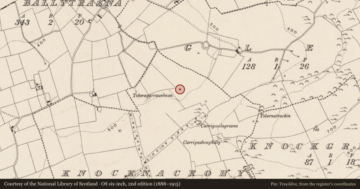 Ordnance Survey six-inch map, 2nd edition (1888–1915) covering the location of Barrow - ring-barrow, Knocknacrohy, County Limerick, with a pin at the register's coordinates