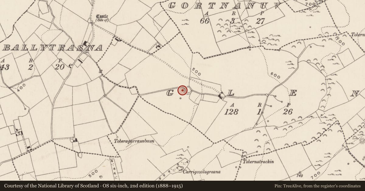 Ordnance Survey six-inch map, 2nd edition (1888–1915) covering the location of Barrow - ring-barrow, Glen, County Limerick, with a pin at the register's coordinates