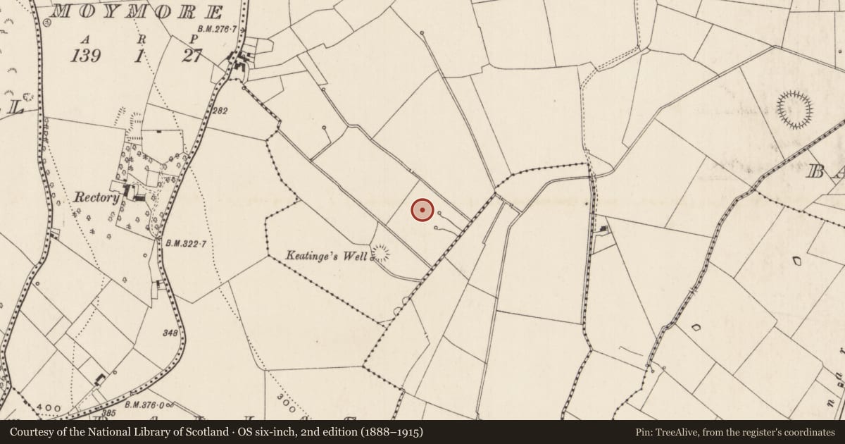 Ordnance Survey six-inch map, 2nd edition (1888–1915) covering the location of Barrow - ring-barrow, Kilduff, County Limerick, with a pin at the register's coordinates