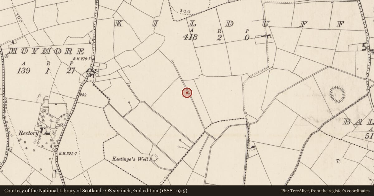 Ordnance Survey six-inch map, 2nd edition (1888–1915) covering the location of Barrow - ring-barrow, Kilduff, County Limerick, with a pin at the register's coordinates