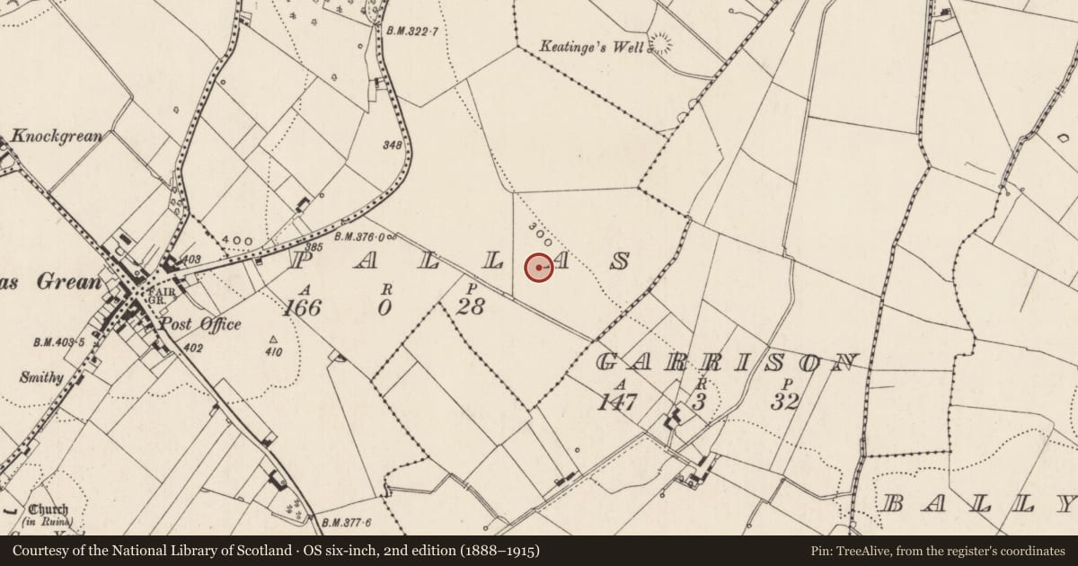Ordnance Survey six-inch map, 2nd edition (1888–1915) covering the location of Enclosure, Pallas, County Limerick, with a pin at the register's coordinates