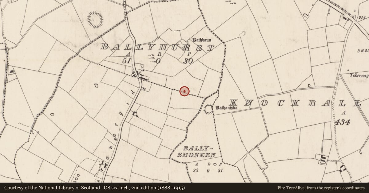 Ordnance Survey six-inch map, 2nd edition (1888–1915) covering the location of Enclosure, Ballyhurst, County Limerick, with a pin at the register's coordinates