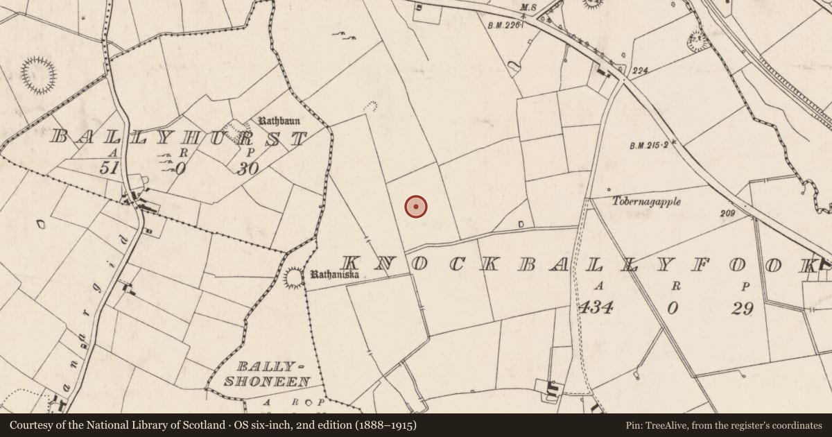Ordnance Survey six-inch map, 2nd edition (1888–1915) covering the location of Barrow - ring-barrow, Knockballyfookeen, County Limerick, with a pin at the register's coordinates