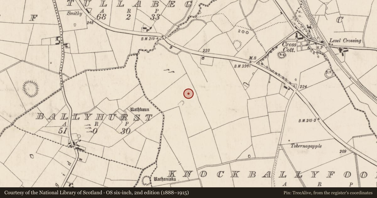 Ordnance Survey six-inch map, 2nd edition (1888–1915) covering the location of Enclosure, Knockballyfookeen, County Limerick, with a pin at the register's coordinates
