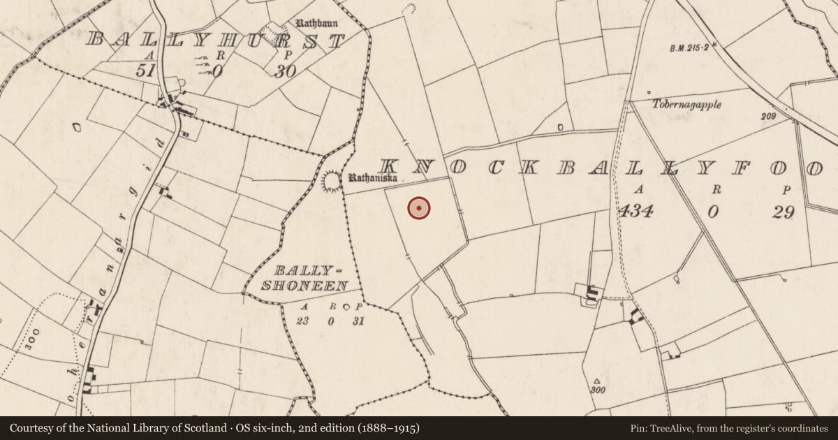 Ordnance Survey six-inch map, 2nd edition (1888–1915) covering the location of Enclosure, Knockballyfookeen, County Limerick, with a pin at the register's coordinates
