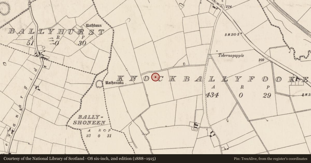 Ordnance Survey six-inch map, 2nd edition (1888–1915) covering the location of Enclosure, Knockballyfookeen, County Limerick, with a pin at the register's coordinates