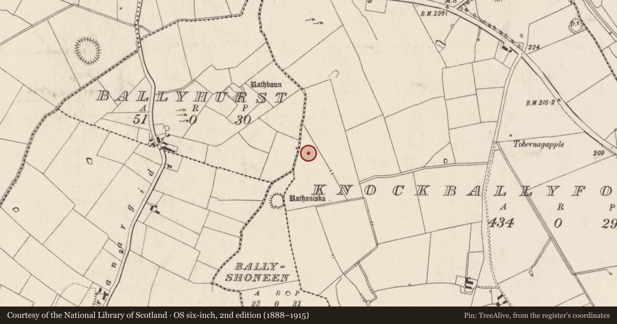 Ordnance Survey six-inch map, 2nd edition (1888–1915) covering the location of Enclosure, Knockballyfookeen, County Limerick, with a pin at the register's coordinates