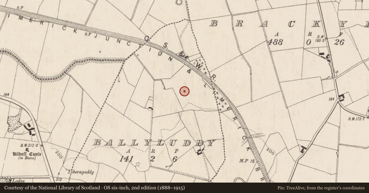 Ordnance Survey six-inch map, 2nd edition (1888–1915) covering the location of Earthwork, Ballyluddy, County Limerick, with a pin at the register's coordinates
