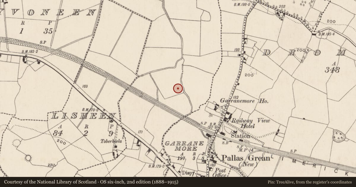 Ordnance Survey six-inch map, 2nd edition (1888–1915) covering the location of Barrow - ring-barrow, Nicker, County Limerick, with a pin at the register's coordinates