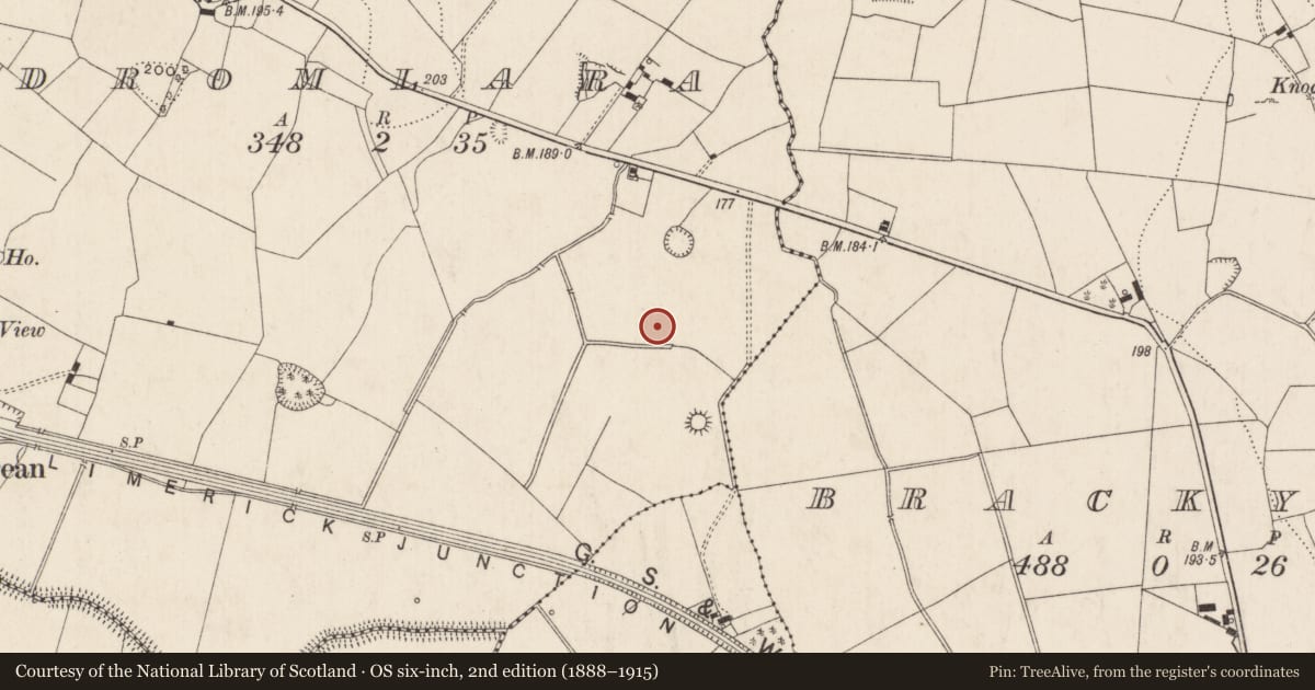 Ordnance Survey six-inch map, 2nd edition (1888–1915) covering the location of Enclosure, Dromlara, County Limerick, with a pin at the register's coordinates