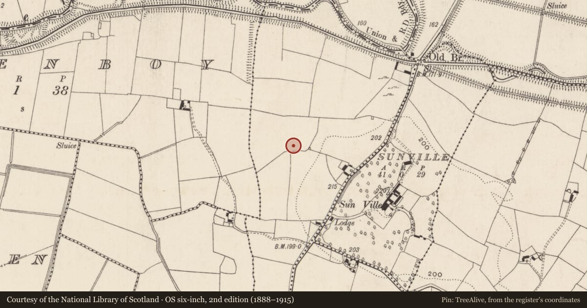 Ordnance Survey six-inch map, 2nd edition (1888–1915) covering the location of Enclosure, Garrane More, County Limerick, with a pin at the register's coordinates