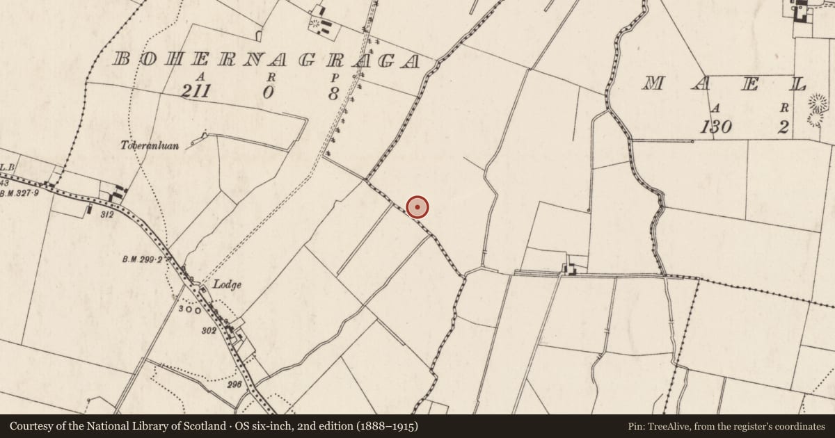 Ordnance Survey six-inch map, 2nd edition (1888–1915) covering the location of Enclosure, Newtown, County Limerick, with a pin at the register's coordinates