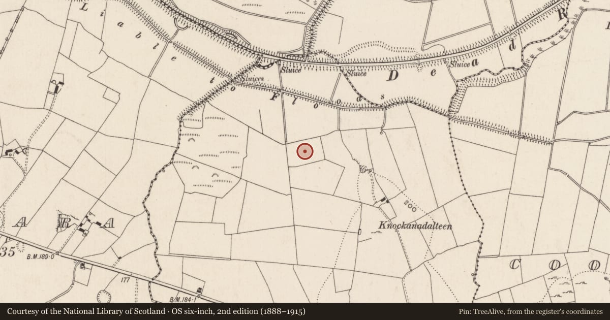 Ordnance Survey six-inch map, 2nd edition (1888–1915) covering the location of Enclosure, Brackyle, County Limerick, with a pin at the register's coordinates