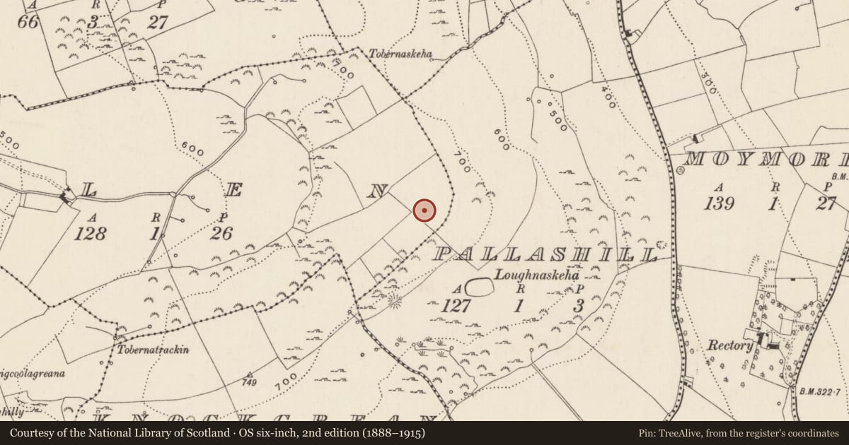 Ordnance Survey six-inch map, 2nd edition (1888–1915) covering the location of Hut site, Glen, County Limerick, with a pin at the register's coordinates
