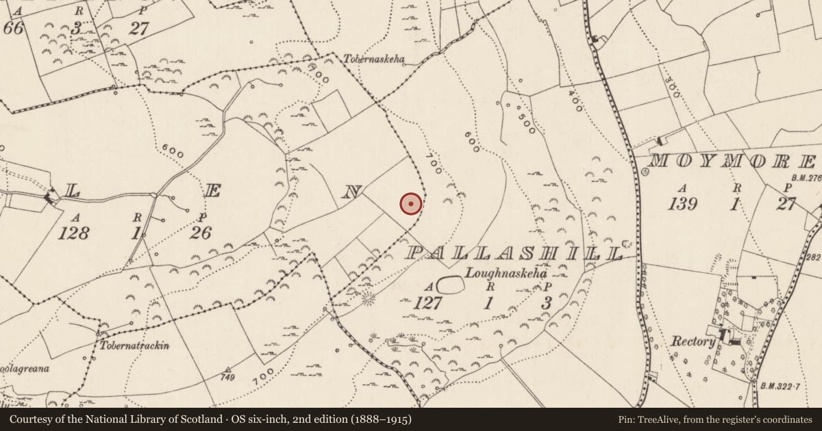 Ordnance Survey six-inch map, 2nd edition (1888–1915) covering the location of Hut site, Glen, County Limerick, with a pin at the register's coordinates
