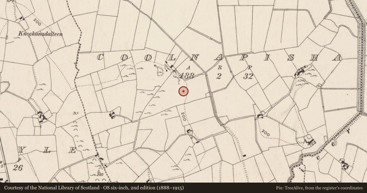 Ordnance Survey six-inch map, 2nd edition (1888–1915) covering the location of Enclosure, Coolnapisha, County Limerick, with a pin at the register's coordinates