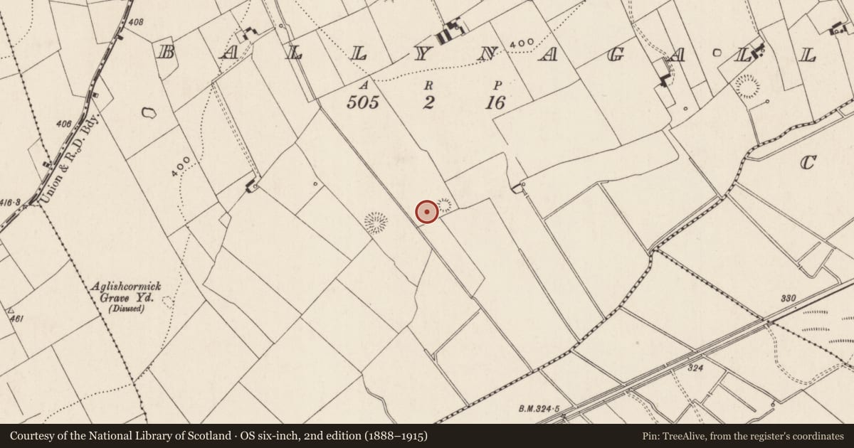 Ordnance Survey six-inch map, 2nd edition (1888–1915) covering the location of Enclosure, Ballynagally, County Limerick, with a pin at the register's coordinates