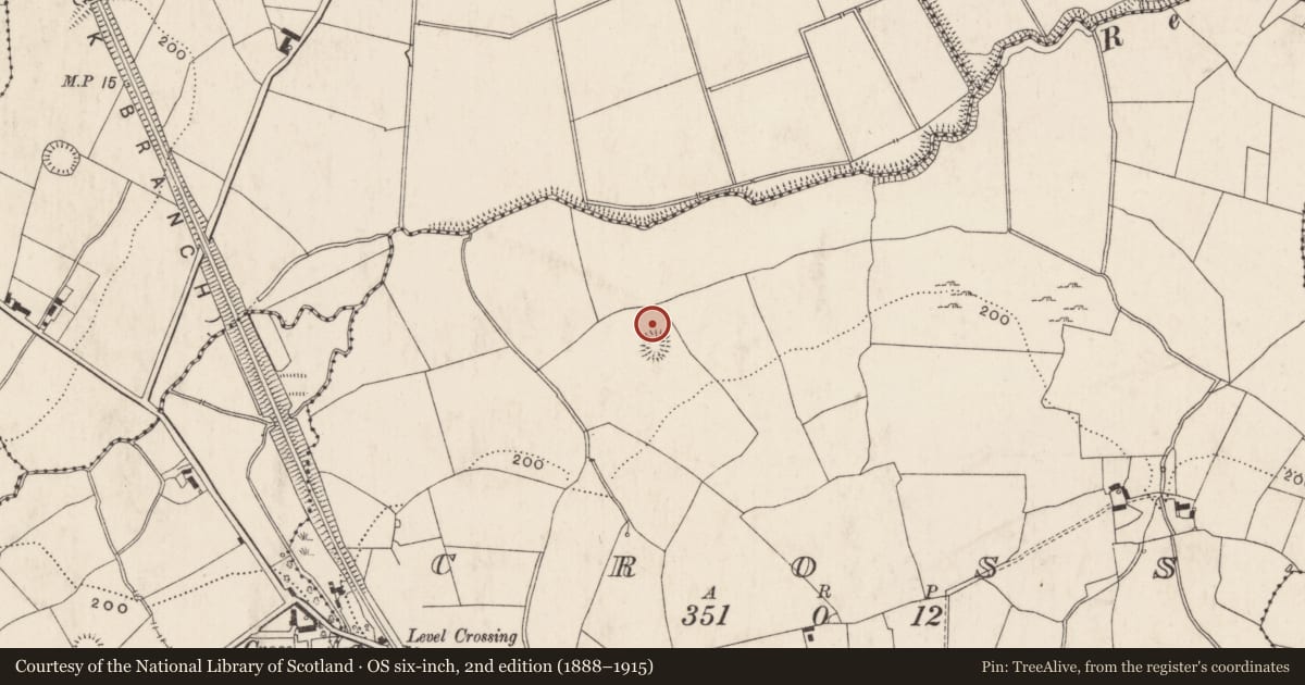 Ordnance Survey six-inch map, 2nd edition (1888–1915) covering the location of Barrow - ring-barrow, Cross, County Limerick, with a pin at the register's coordinates