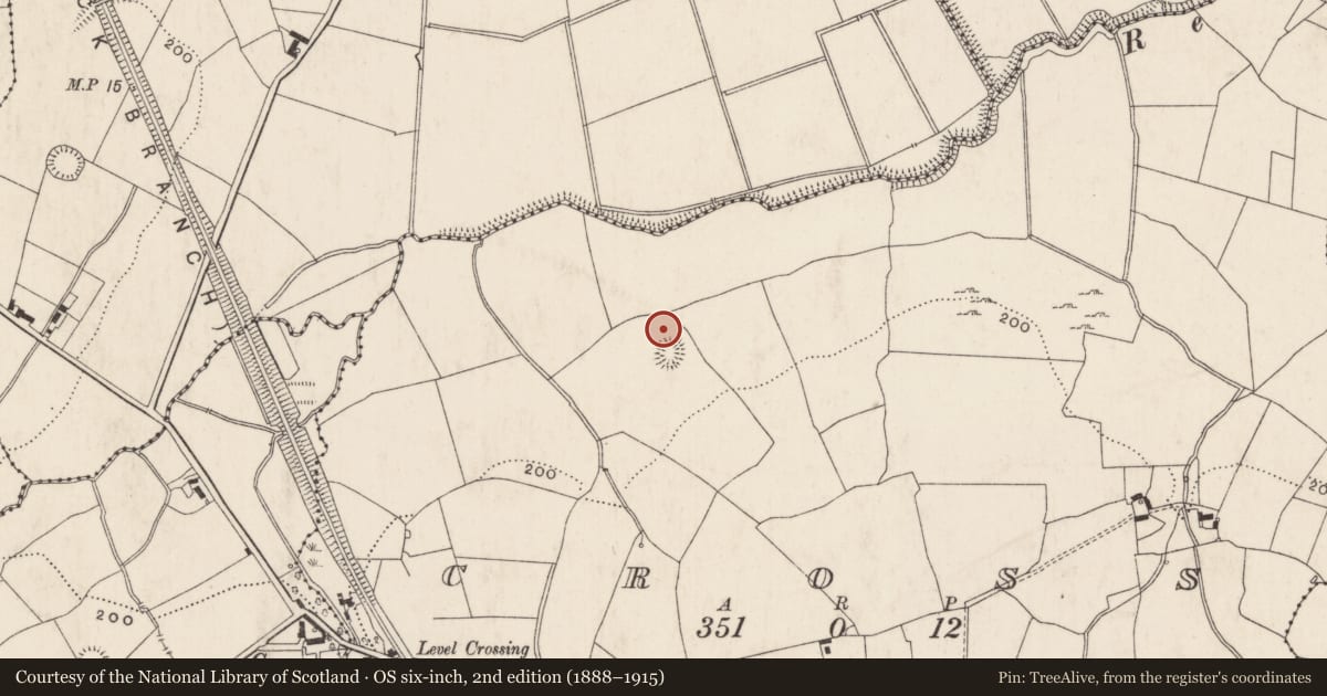 Ordnance Survey six-inch map, 2nd edition (1888–1915) covering the location of Barrow - ring-barrow, Cross, County Limerick, with a pin at the register's coordinates