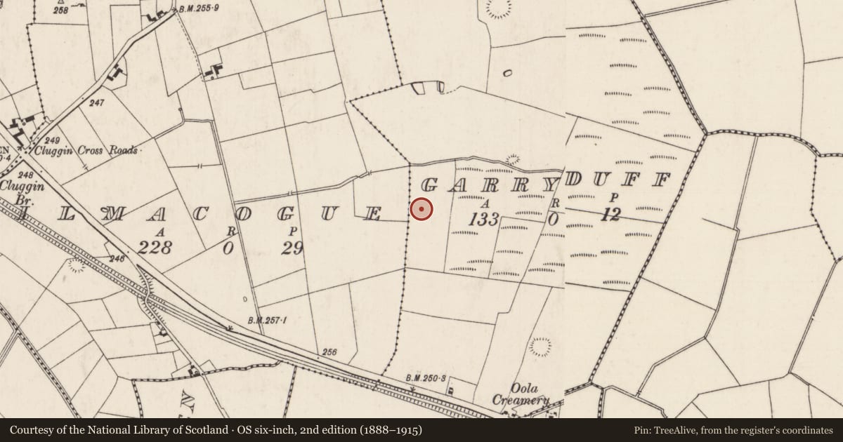Ordnance Survey six-inch map, 2nd edition (1888–1915) covering the location of Barrow - ring-barrow, Garryduff, County Limerick, with a pin at the register's coordinates