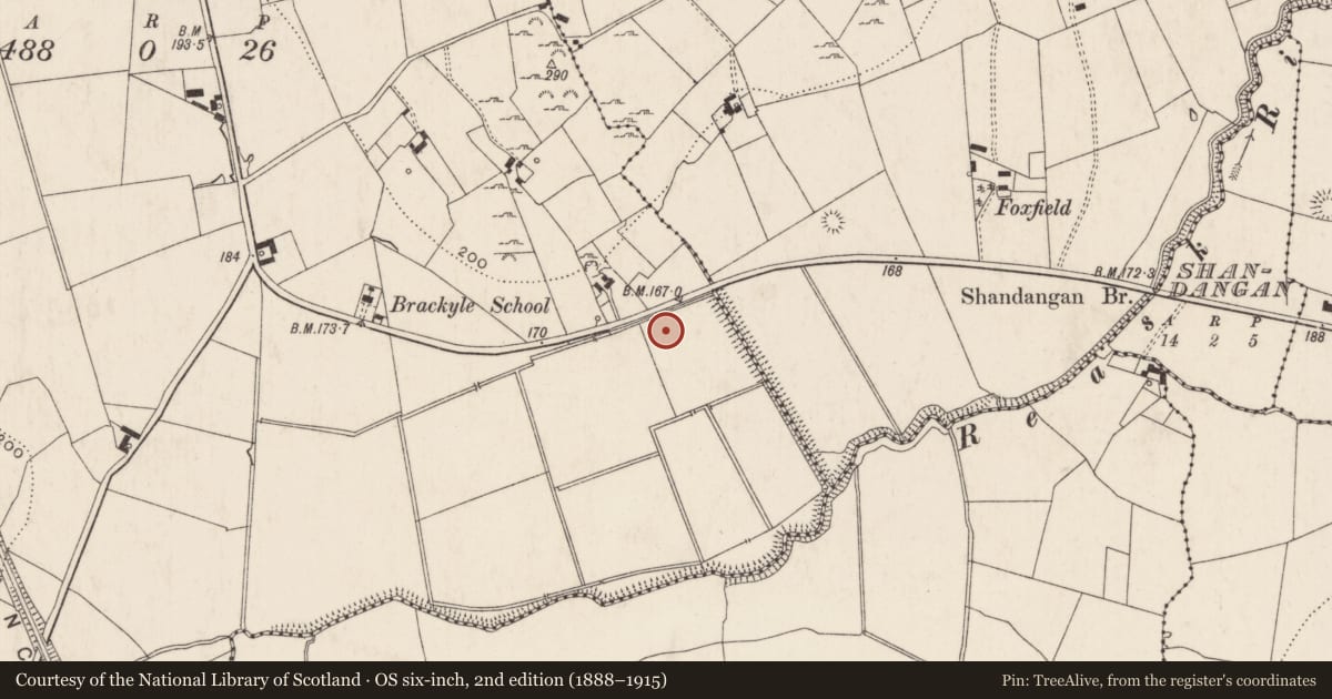 Ordnance Survey six-inch map, 2nd edition (1888–1915) covering the location of Standing stone, Brackyle, County Limerick, with a pin at the register's coordinates