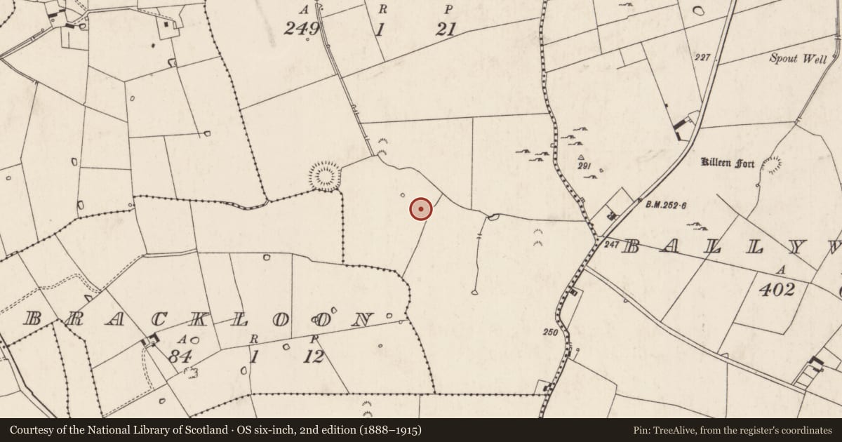 Ordnance Survey six-inch map, 2nd edition (1888–1915) covering the location of Barrow - unclassified, Garravin, County Limerick, with a pin at the register's coordinates
