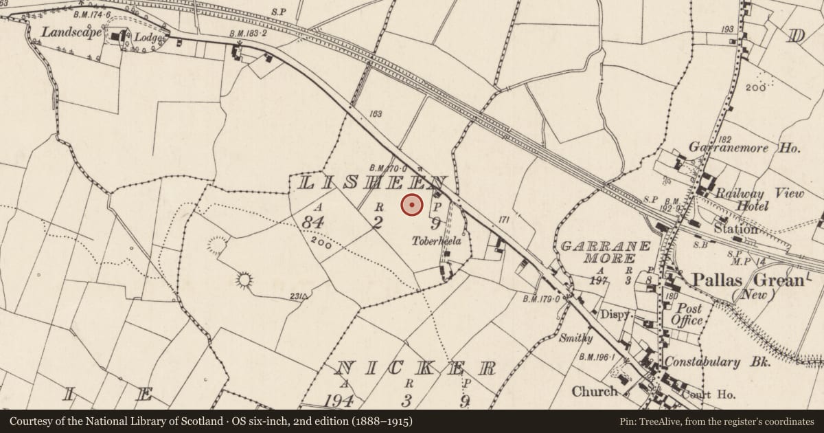 Ordnance Survey six-inch map, 2nd edition (1888–1915) covering the location of Enclosure, Lisheen, County Limerick, with a pin at the register's coordinates