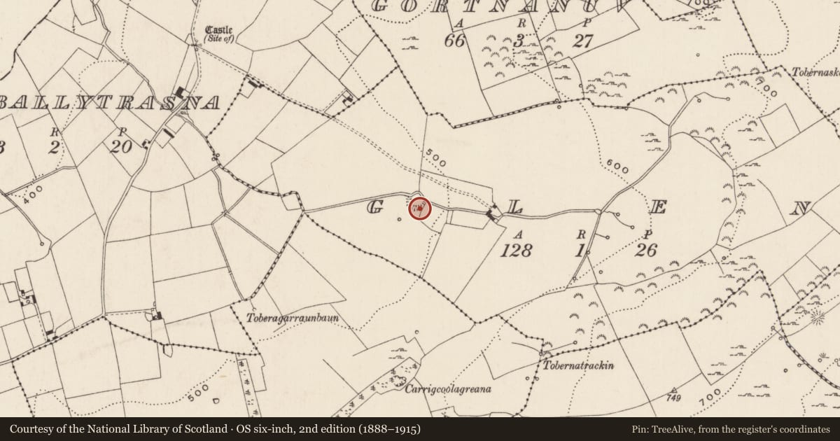 Ordnance Survey six-inch map, 2nd edition (1888–1915) covering the location of Hut site, Glen, County Limerick, with a pin at the register's coordinates
