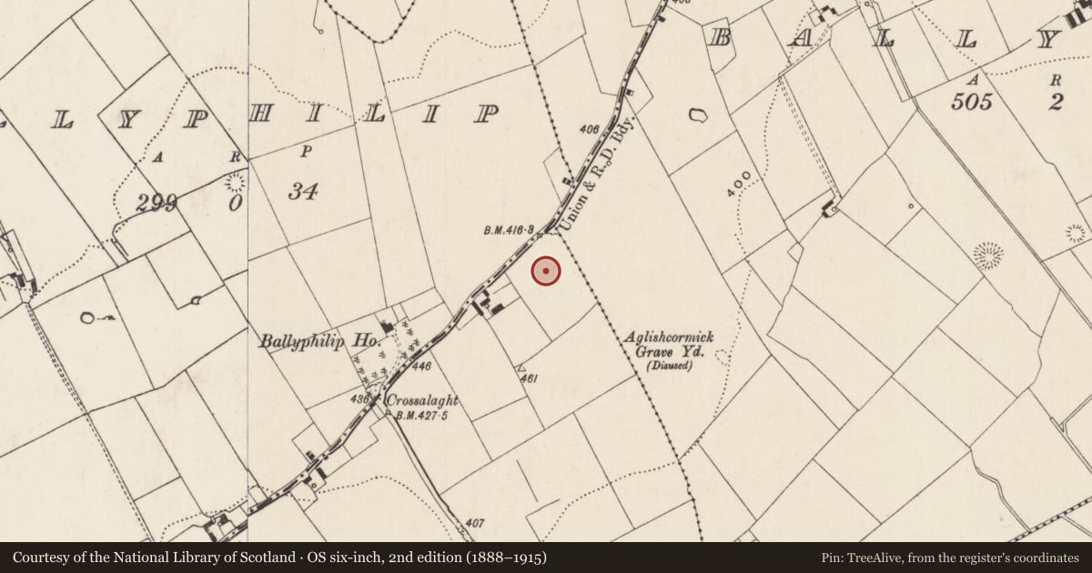Ordnance Survey six-inch map, 2nd edition (1888–1915) covering the location of Standing stone, Milltown, County Limerick, with a pin at the register's coordinates