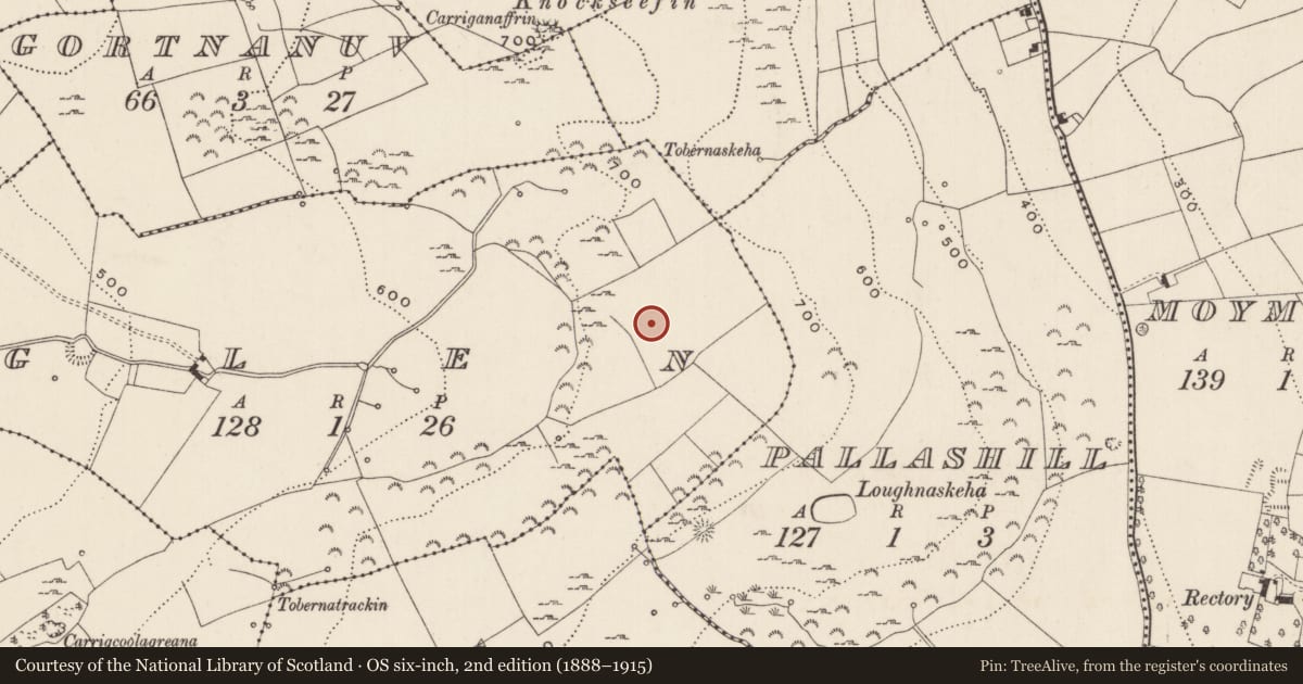 Ordnance Survey six-inch map, 2nd edition (1888–1915) covering the location of Hut site, Glen, County Limerick, with a pin at the register's coordinates