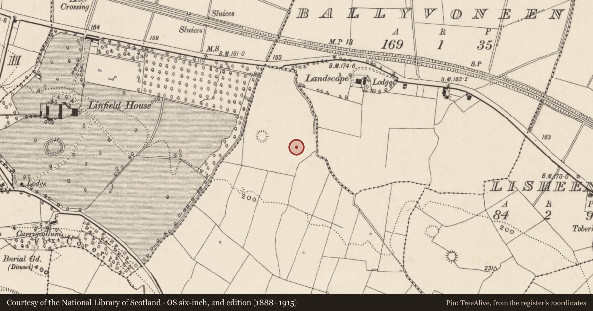 Ordnance Survey six-inch map, 2nd edition (1888–1915) covering the location of Barrow - ring-barrow, Bunavie, County Limerick, with a pin at the register's coordinates