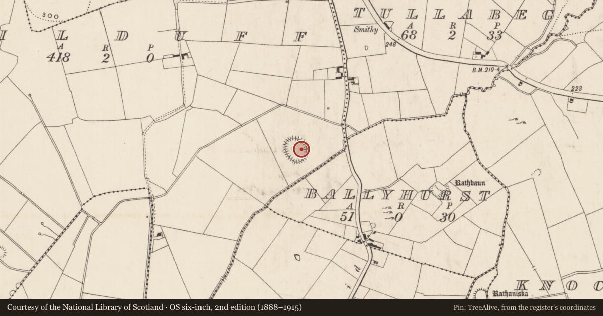 Ordnance Survey six-inch map, 2nd edition (1888–1915) covering the location of Barrow - ring-barrow, Kilduff, County Limerick, with a pin at the register's coordinates