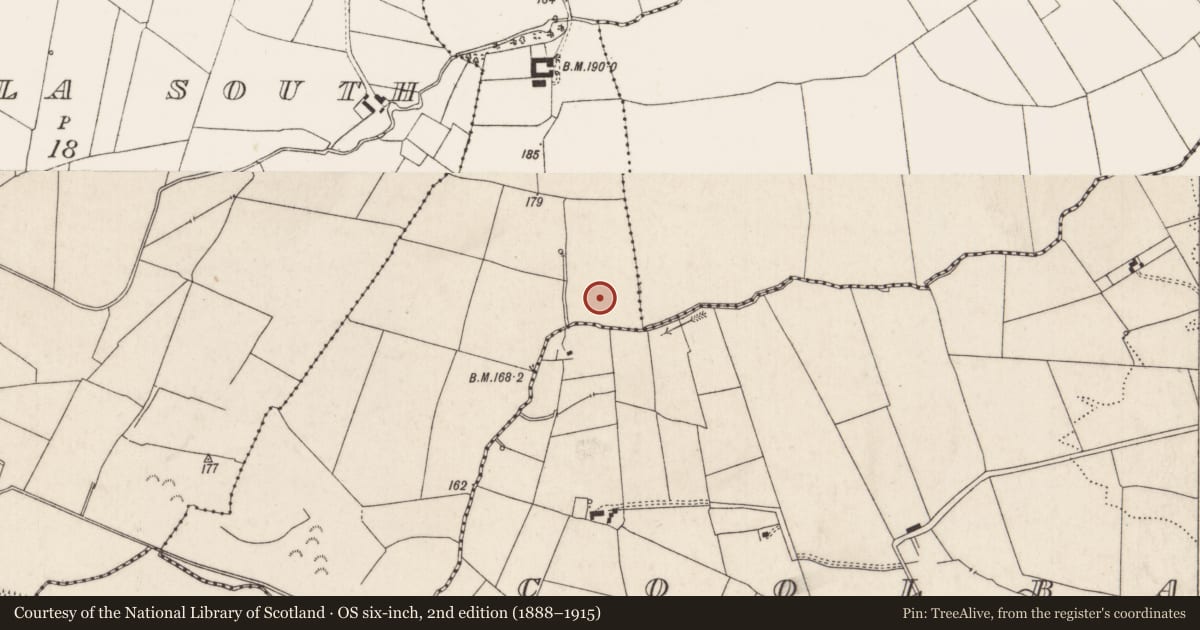 Ordnance Survey six-inch map, 2nd edition (1888–1915) covering the location of Barrow - ring-barrow, Gortavalla East, County Limerick, with a pin at the register's coordinates