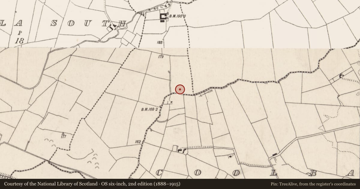 Ordnance Survey six-inch map, 2nd edition (1888–1915) covering the location of Barrow - ring-barrow, Gortavalla East, County Limerick, with a pin at the register's coordinates