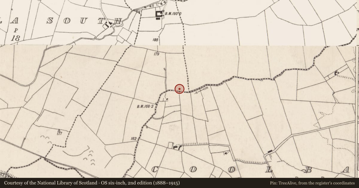 Ordnance Survey six-inch map, 2nd edition (1888–1915) covering the location of Barrow - ring-barrow, Gortavalla East, County Limerick, with a pin at the register's coordinates