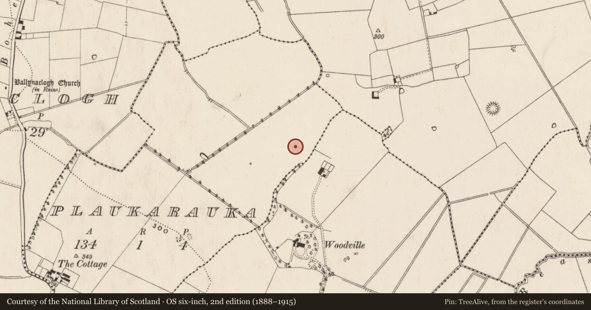 Ordnance Survey six-inch map, 2nd edition (1888–1915) covering the location of Barrow - ring-barrow, Plaukarauka, County Limerick, with a pin at the register's coordinates