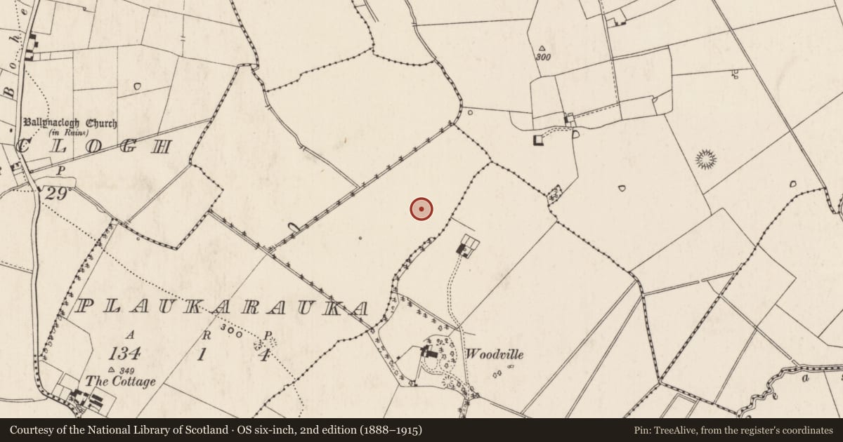 Ordnance Survey six-inch map, 2nd edition (1888–1915) covering the location of Barrow - ring-barrow, Plaukarauka, County Limerick, with a pin at the register's coordinates