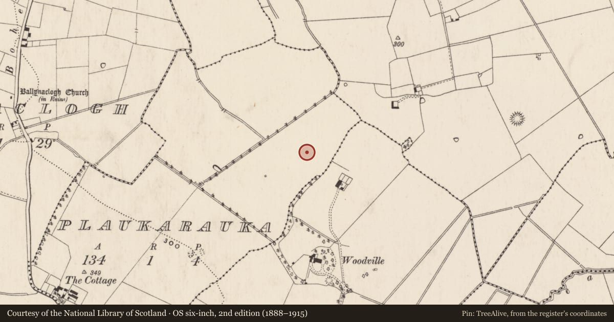 Ordnance Survey six-inch map, 2nd edition (1888–1915) covering the location of Barrow - ring-barrow, Plaukarauka, County Limerick, with a pin at the register's coordinates