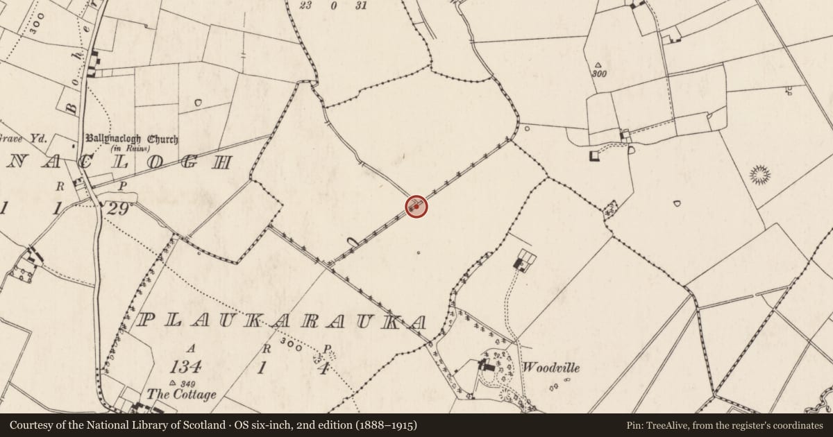 Ordnance Survey six-inch map, 2nd edition (1888–1915) covering the location of Field system, Plaukarauka, County Limerick, with a pin at the register's coordinates