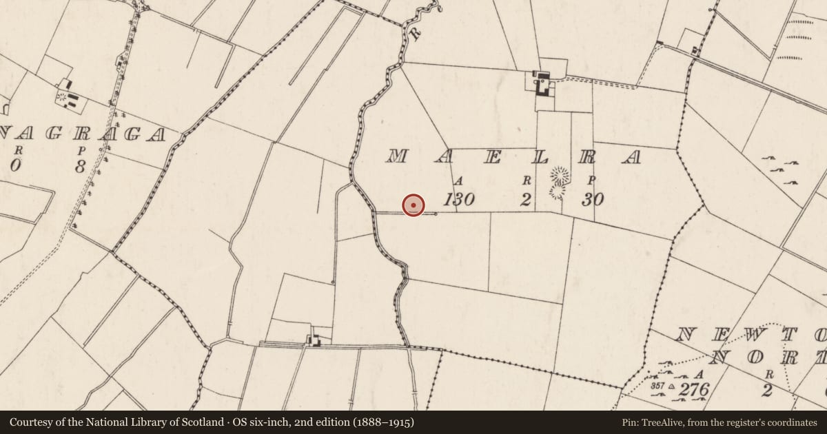 Ordnance Survey six-inch map, 2nd edition (1888–1915) covering the location of Enclosure, Maelra, County Limerick, with a pin at the register's coordinates